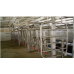 Rapid Exit Milking Parlor