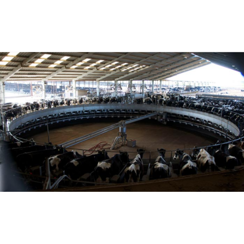 Rotary Milking Parlor