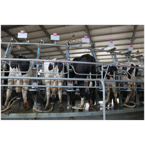 Rotary Milking Parlor