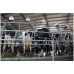 Rotary Milking Parlor