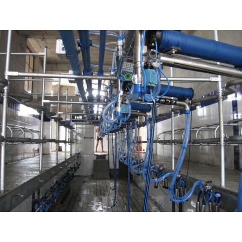 Swingover Milking Parlor