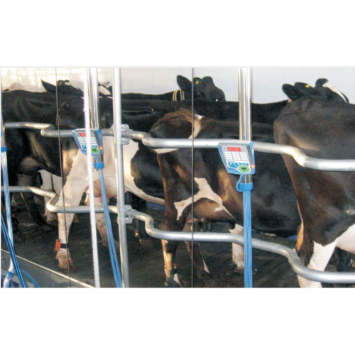 Swingover Milking Parlor